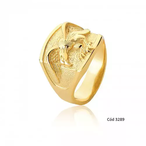 Anel Ouro 18k Falcao
